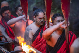 New Zealand 2025 (1 group) (18/66)